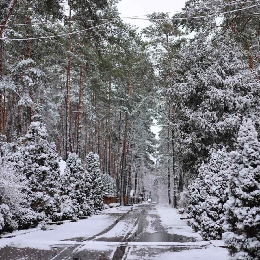 Ekodom Villa Voropajiv Kültér fotó