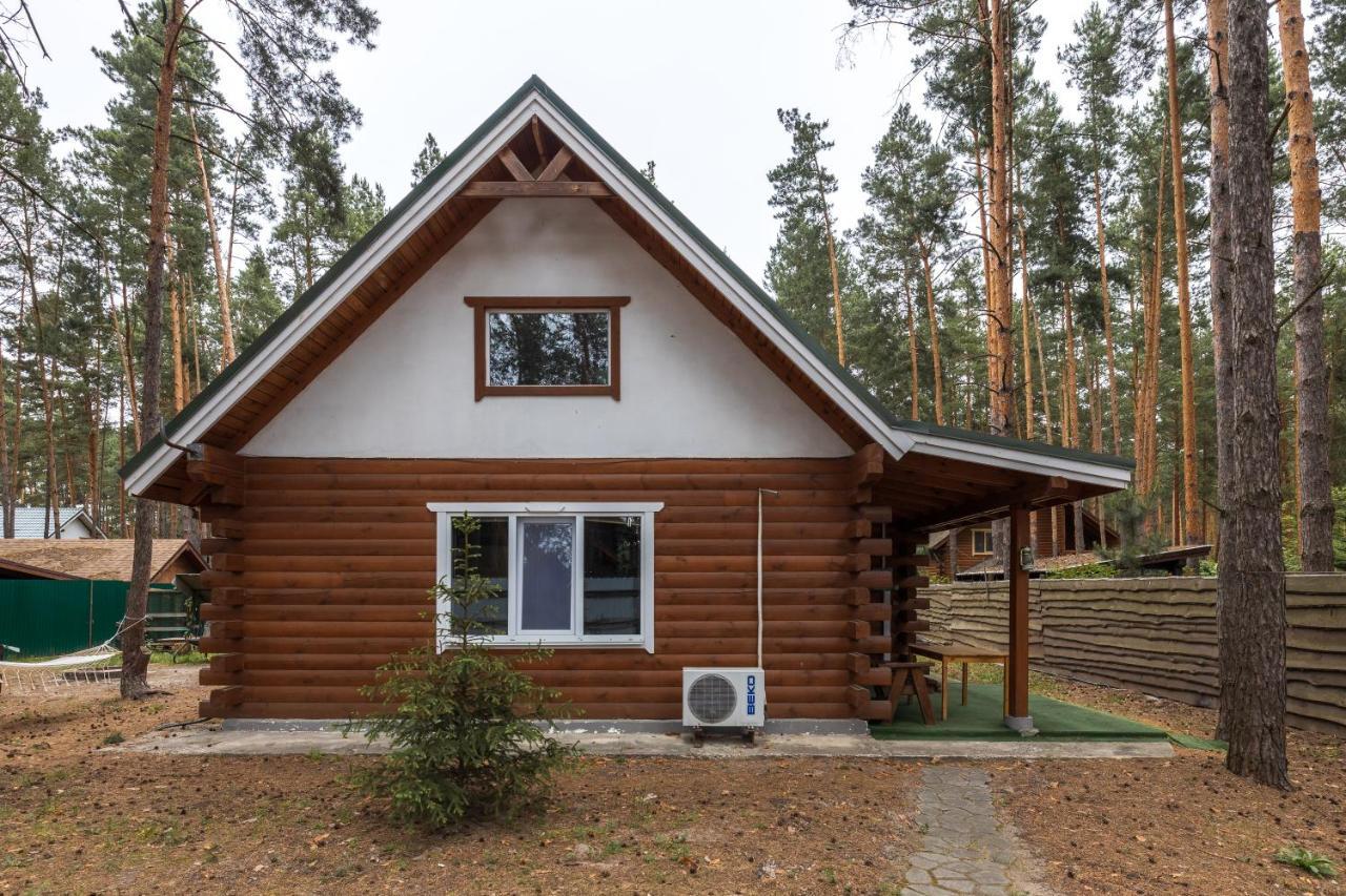 Ekodom Villa Voropajiv Kültér fotó